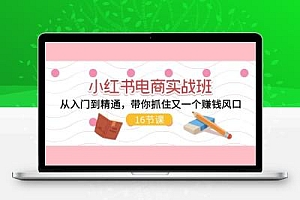  小红书电商实战班，从入门到精通，带你抓住又一个赚钱风口（16节）