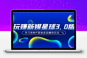 《玩赚新媒星球3.0版》学习各种IP营销变现赚钱玩法（价值498