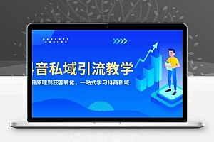 抖音私域引流教学：从项目原理到获客转化，一站式学习抖商 私域