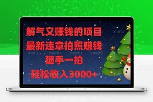 解气又赚钱的项目，最新违章拍照赚钱，随手一拍，轻松收入3000+