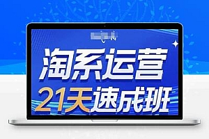 淘系运营21天速成班(更新24年12月)，0基础轻松搞定淘系运营，不做假把式