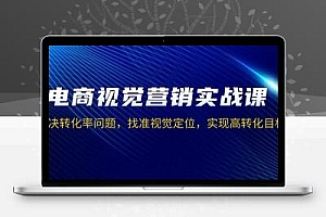 电商视觉营销实战课，解决转化率问题，找准视觉定位，实现高转化目标