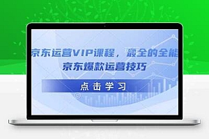  京东运营VIP课程，最全的全能京东爆款运营技巧