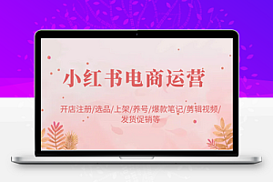  小红书电商运营：开店注册/选品/上架/养号/爆款笔记/剪辑视频/发货促销等