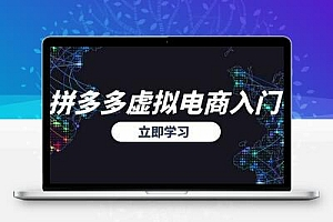 拼多多虚拟电商入门，精准选品方法论，无货源模式起盘技巧